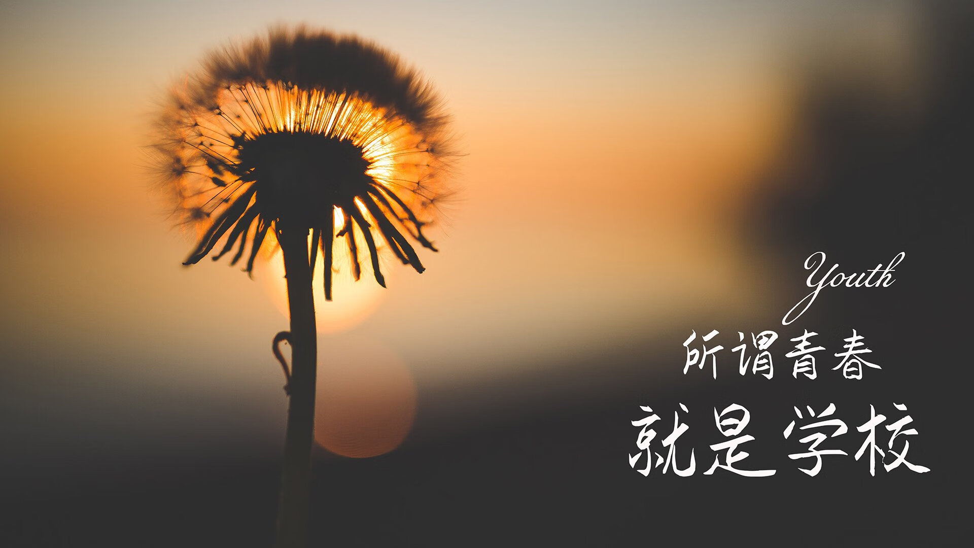 卡迪夫城反击速度提升，蓝鸟军团期待强势保级，卡迪夫蓝调风格