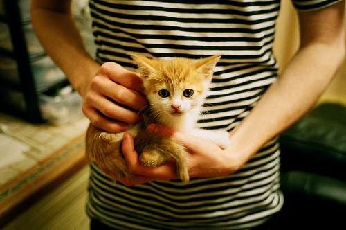 精彩橄榄球高校联赛进入淘汰阶段,橄榄球全国大学生比赛