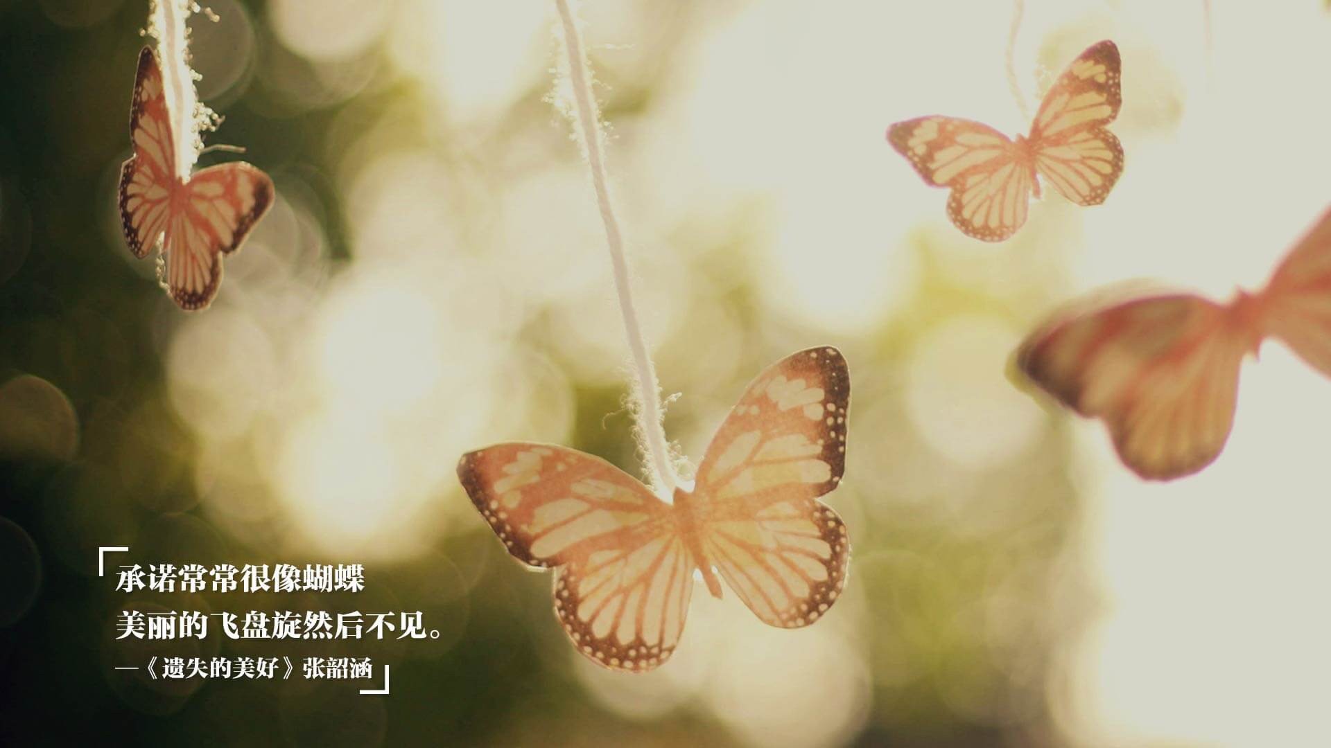 开云官网-葡萄牙体育锋线表现持续火热，葡萄牙体育比赛
