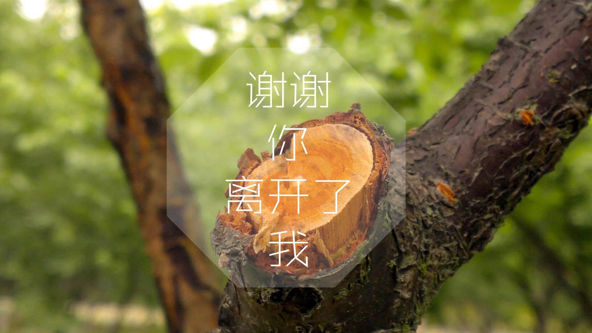 Kaiyun官方登录入口-CBA球队注重青年球员培养 实现梯队建设，cba青年队选拔要求