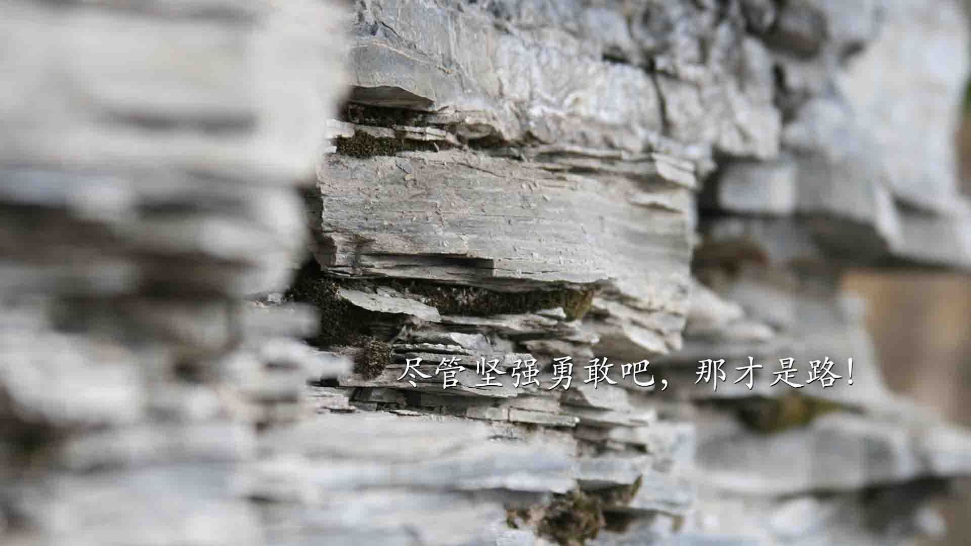 开云体育-南非羚羊队：突破与防守并重，快速反击展现强大杀伤力，南非大羚羊主要分布哪里