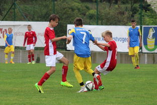 kaiyun官方网站-塞尔维亚实力不断提升，期待在国际大赛中突破