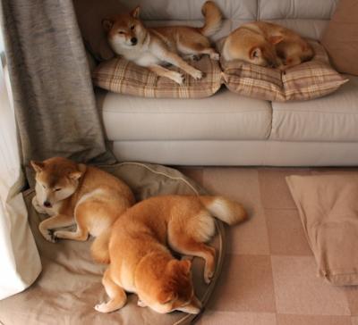 开云官方网页登录-法国队全力冲刺赢得观众掌声，法国队集锦