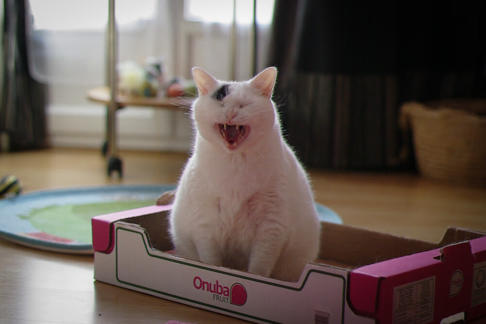 绿色可再生材料在足球器材中的应用不断提升，绿色再生资源回收怎么样