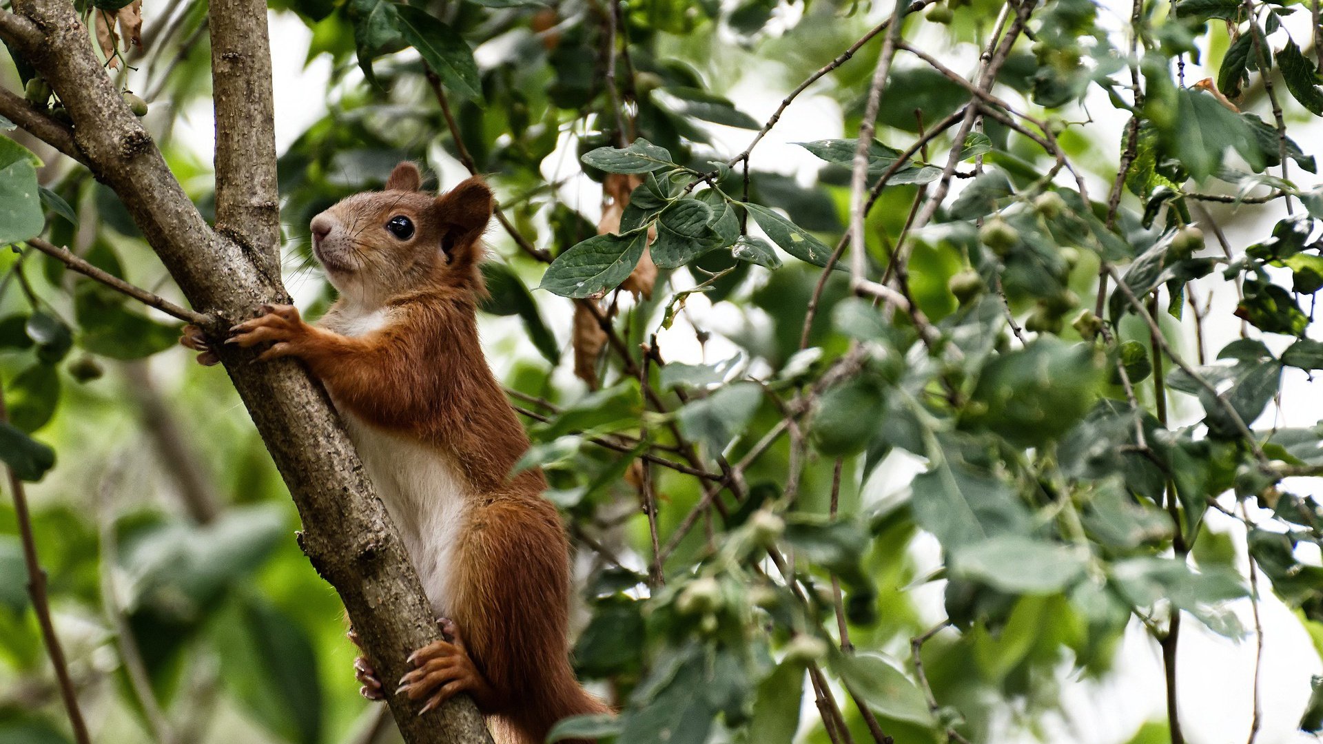 kaiyun网站-英超终极争夺：每一秒都精彩纷呈，英超经典时刻