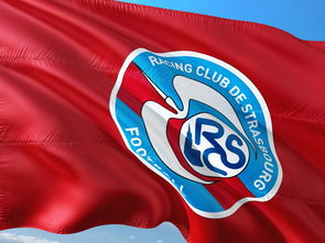 开云官方网页登录-荷兰队在欧洲预赛中继续保持领先优势