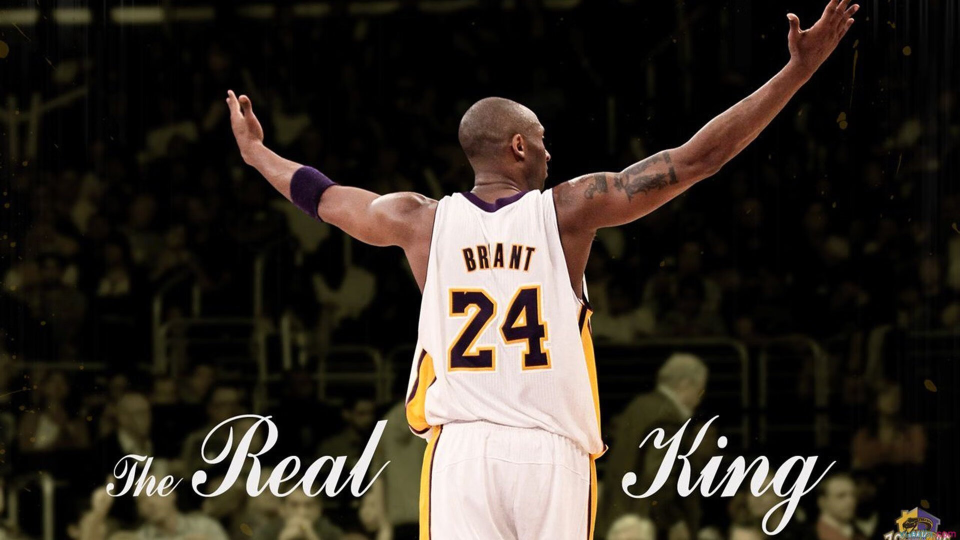 开云综合服务-_森林狼迎来强势反弹，士气大振_，森林狼dieng